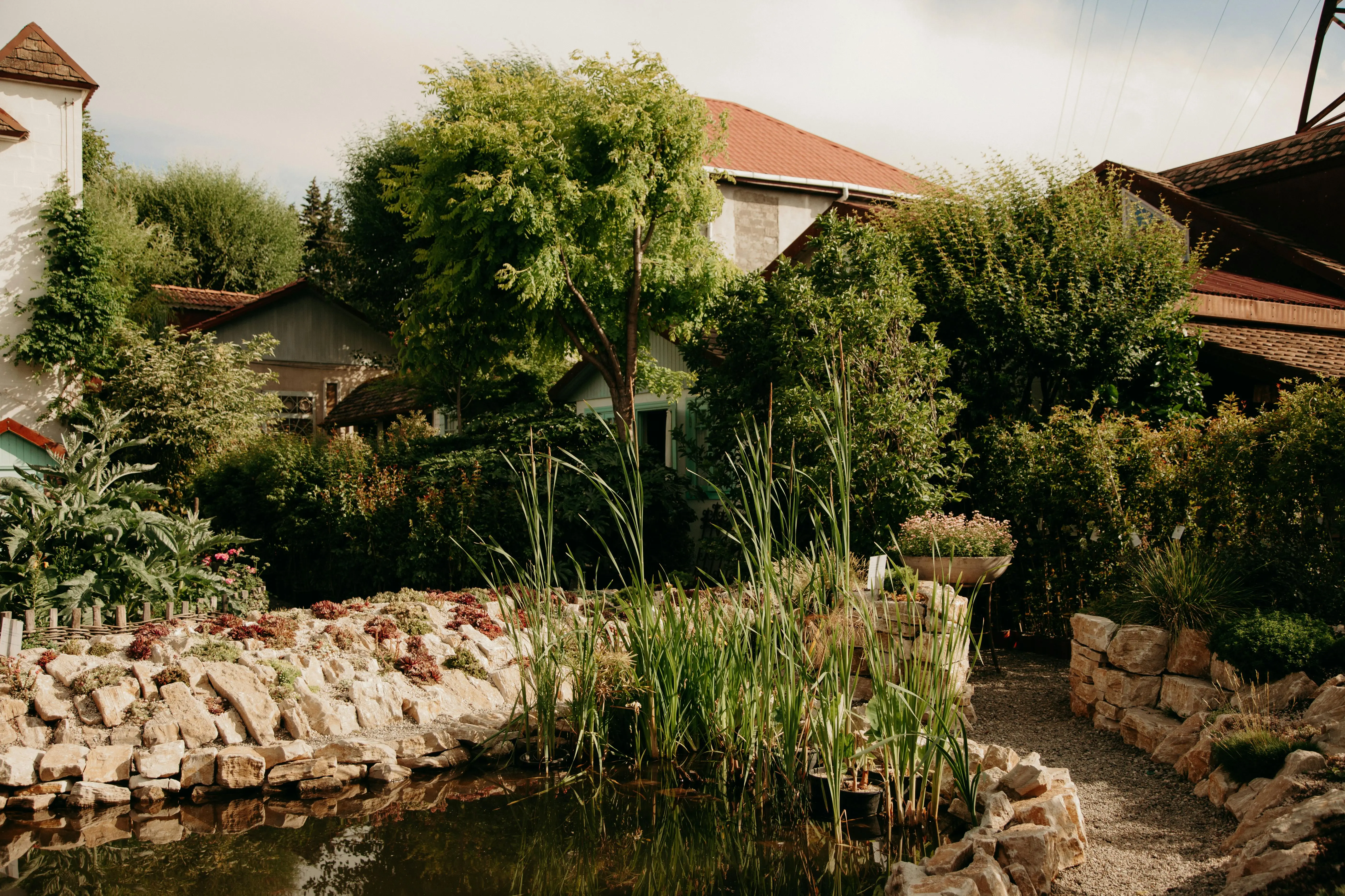 Landscape 4